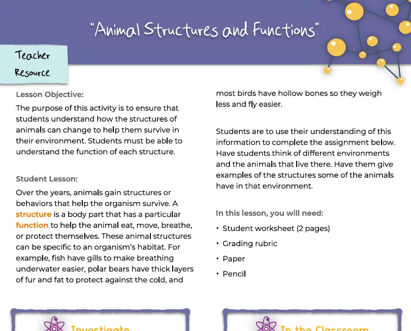 elementary science worksheets